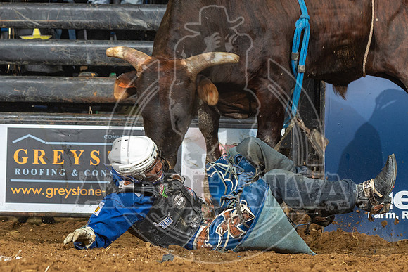 08_03_19_Allen_TX_PBR_241_Silva