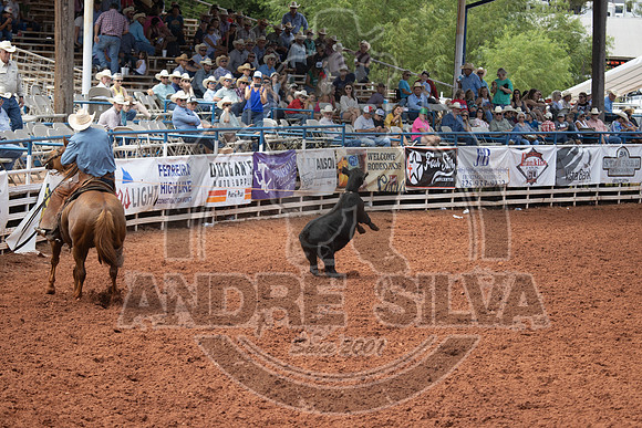 2024_July_06_Ranch_Horse_Competition_3864