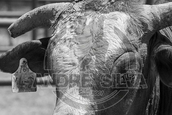 2020_Aug_29_ABBI_010