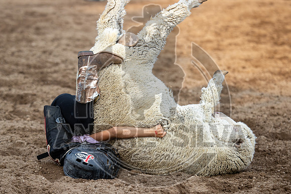 24_July_24_Eagle_CO_098