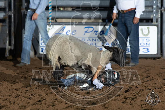 06_14_19_Cleburne__264_Silva