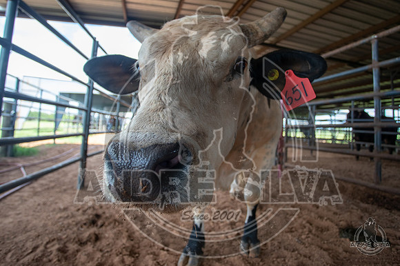 2020_July_18_ABBI_037
