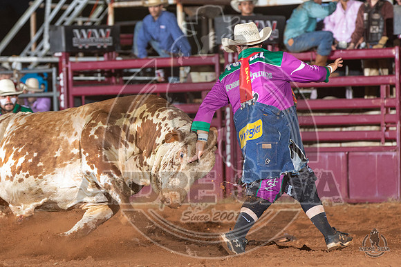 2020_Aug_08_Bridgeport_TX_120