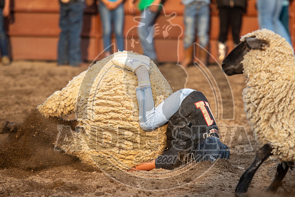 24_July_24_Eagle_CO_102