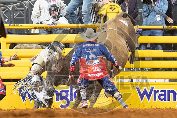 2020_Dez_06_WNFR_Bull_Riding_Denton Fugate_494