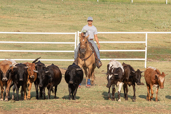 08_05_19_Vieira_Ranch_020_Silva
