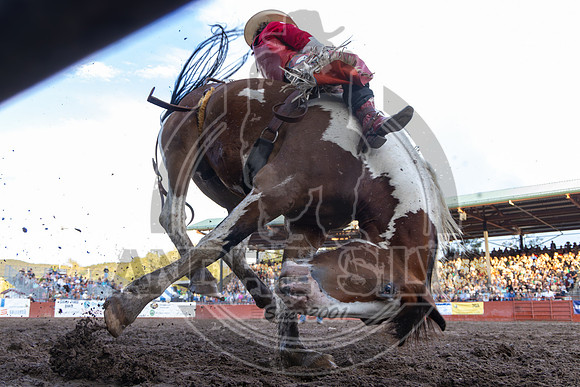 2024 Eagle_BB_Rocker Steiner_1779-AndreSilva