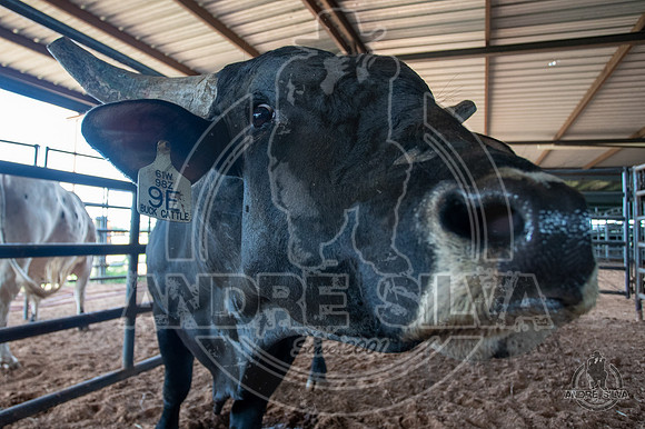 2020_July_18_ABBI_030