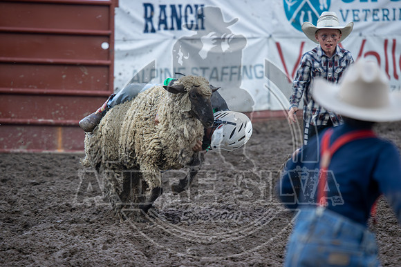 2024 Eagle_Mutton busting_2450-AndreSilva