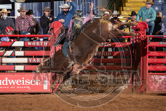 2021_Jan_01_ABBI_262