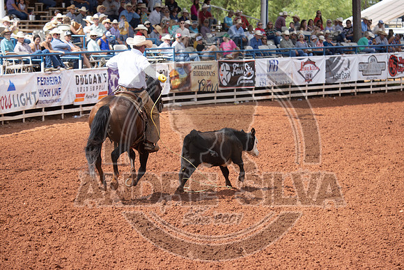 2024_July_06_Ranch_Horse_Competition_3797