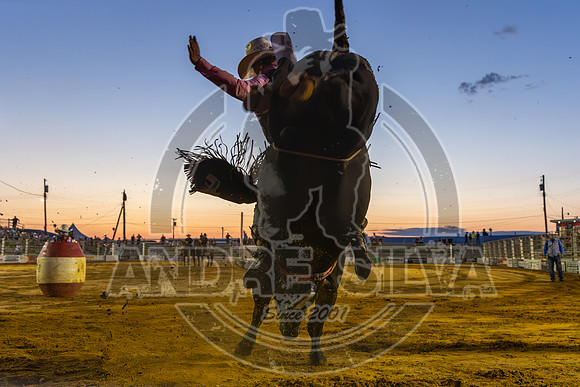 2024 Cowtown Rodeo_R2_R3_XTREME BULLS_AndreSilva_625