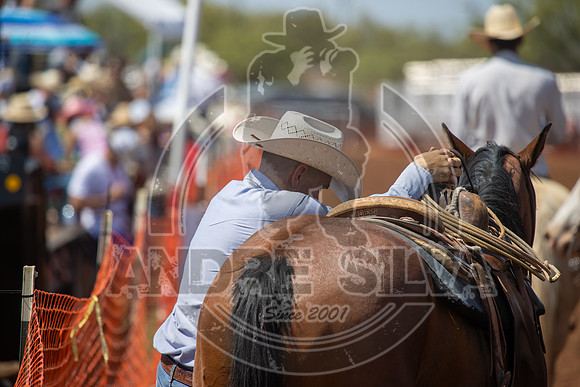 2024_July_06_Matched_Horse_Races_4099
