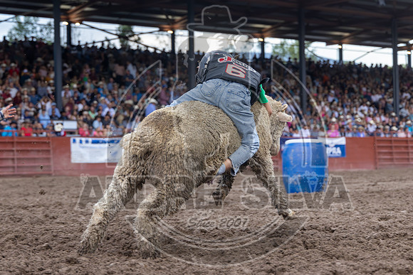 2024 Eagle_Mutton busting_2476-AndreSilva