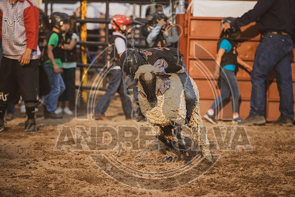 24_July_24_Eagle_CO_084