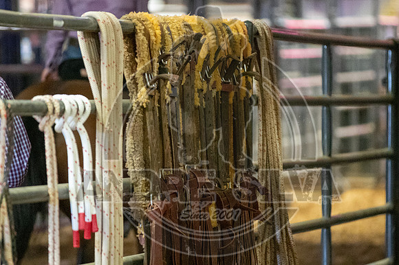 2020_06_06_Mesquite_009_Silva