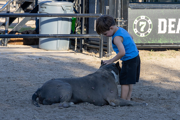 2024_July_10_Austin_Gamblers_154