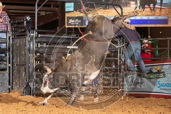 2020_Aug_29_ABBI_169
