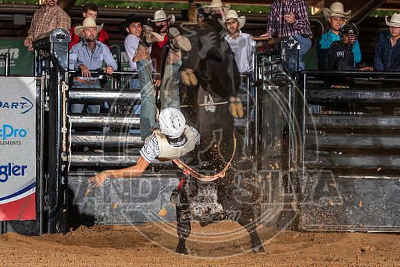 2020_Aug_29_ABBI_060