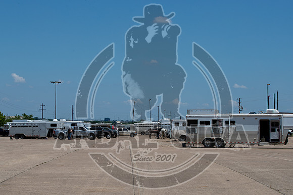 2020_06_06_Mesquite_001_Silva