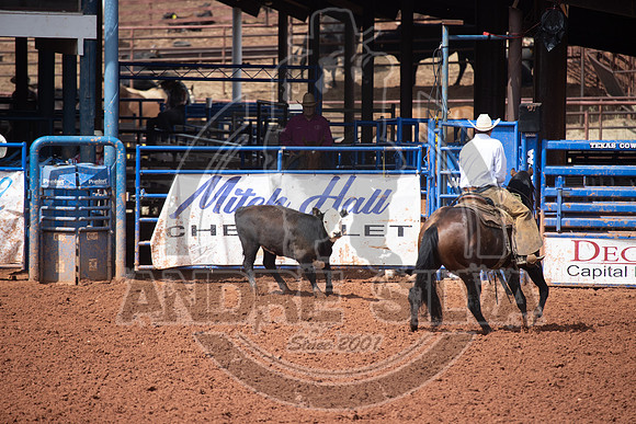 2024_July_06_Ranch_Horse_Competition_3791