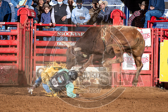 2021_Jan_01_ABBI_182