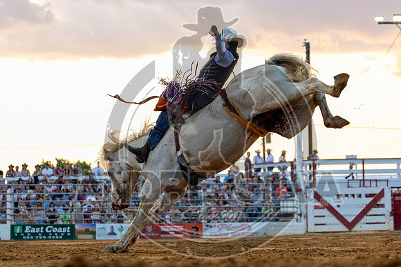 2025_CowtownRodeo_Pilesgrove_NJ_BB_Jason Wilson_146