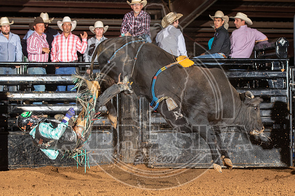 2020_Aug_29_ABBI_156