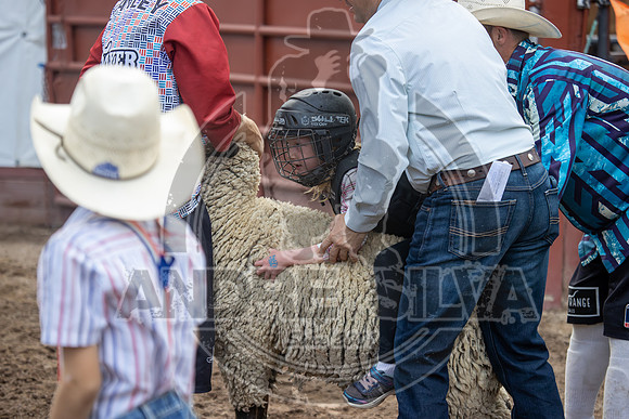 24_July_25_Eagle_CO_017