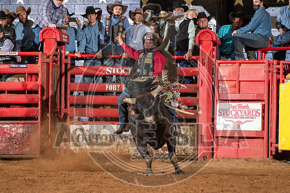 2021_Jan_02_ABBI_519