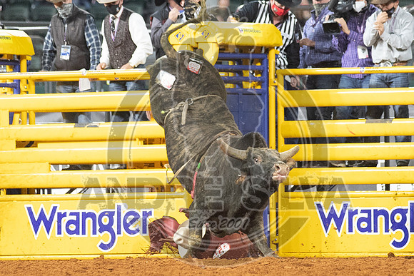 2020_Dez_11_WNFR_Bull_Riding_Roscoe Jarboe_1234