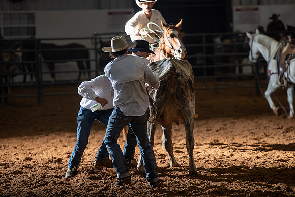 2024_Nov_02_Quin_McCoy_070