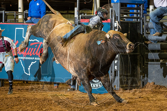 2021Mesquite_R01_BR__309