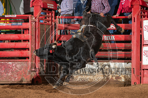 2021_Jan_01_ABBI_148