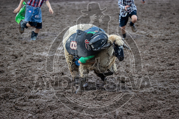 2024 Eagle_Mutton busting_2439-AndreSilva