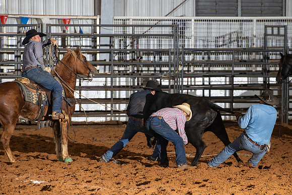 2024_Nov_02_Quin_McCoy_094