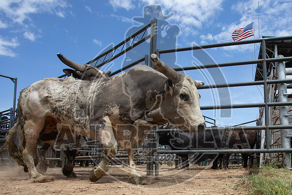 2021_May_08_PBR_Cassvile_TX_044