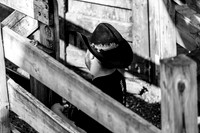 2025_August_02_Cowtown_Rodeo_005