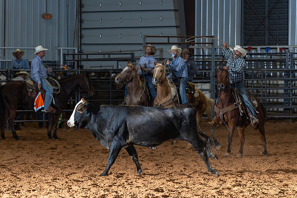2024_Nov_02_Quin_McCoy_088