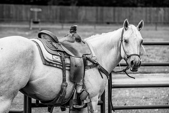 2021_Werneck_Ranch_199
