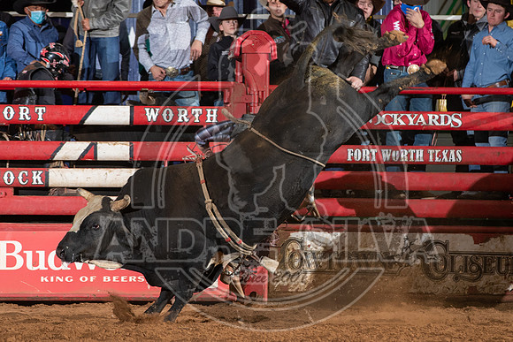 2021_Jan_02_ABBI_529