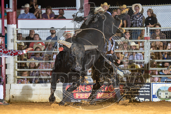 2024 Cowtown Rodeo_BR_Charles Hazy_583-AndreSilva