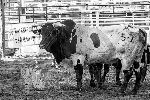 08_16_19_Denton_001_Silva
