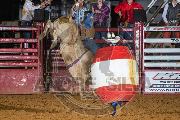 2024 Cowtown Rodeo_BR_Aidan Caruso_585-AndreSilva