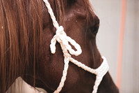 2020_July_25_PatyCowgirl_010
