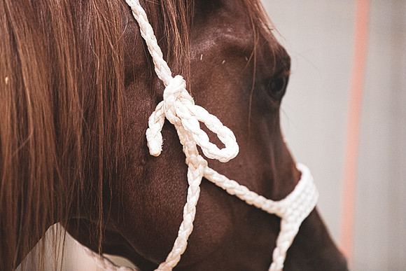 2020_July_25_PatyCowgirl_010