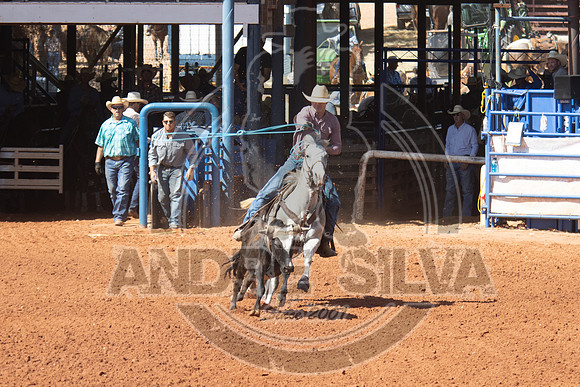 2024_July_02_Team_Roping_173