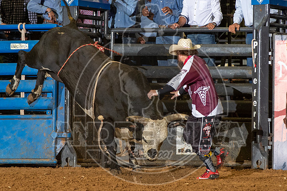 2020_08_01_Mesquite_Bull_Riding_Paulo_Lima_288
