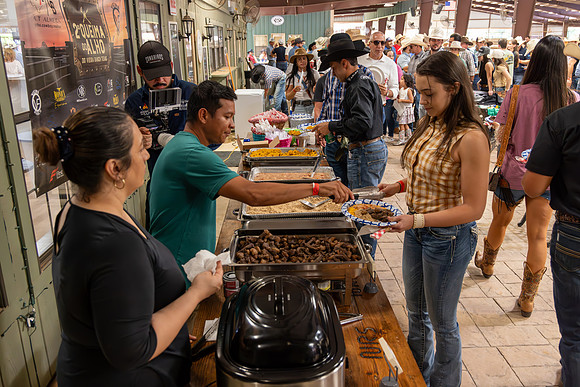 2024_May_17_VieiraRanch_308