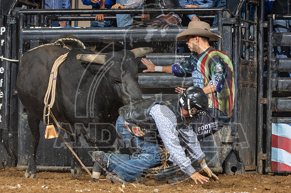 08_03_19_Allen_TX_PBR_177_Silva